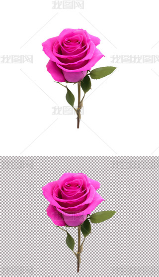 ɫõ廨ֲﻨ520˹(ji)(i)(4)