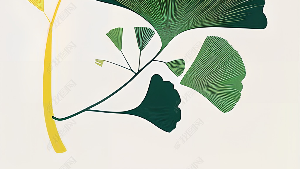 Ginkgo biloba leaf flower vector art for your next project廭ͼ