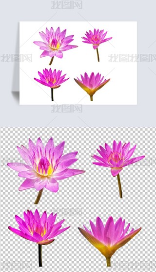 ˎ˯ɏ{(ln)˯ɏɏɫ⓸PNG