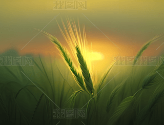 ֮