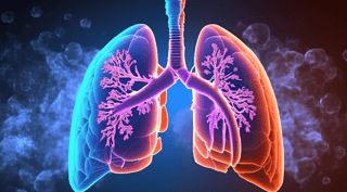 wٷεĽY(ji)(gu)cܽB  DƬ(dng)B(ti)չʾzӰD