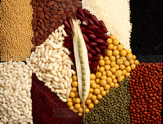 NͬĶ(li)ͲL(fng)c(lin)ƬtcɫɫKƷ(du)Q(chng)(du)Q(chng)\ɫͽɫͬx󻯸zӰD