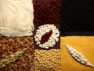 N(li)c׵ĴL(fng)(lin)ƬtͰɫɫKƷ(du)Q(chng)(du)Q(chng)\ɫͽɫͬxɫʸzӰD