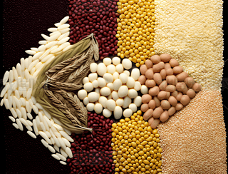 NͬL(fng)Ķ(li)ͲP(gun)(lin)?w)ƬL(fng)tcɫɫKy팦(du)Q(chng)(du)Q(chng)\ɫͽɫͬx 43zӰD