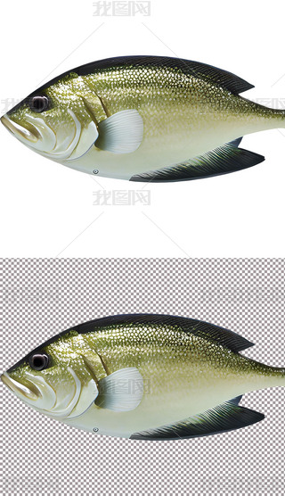 ^p~~С~ׄ(dng)ﺣ(3)