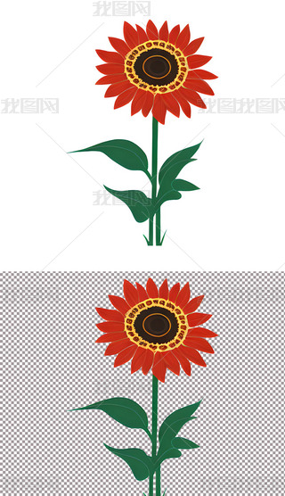 ͨLտ̫ꖻСW(xu)ֳ(bo)Ԫ(3)