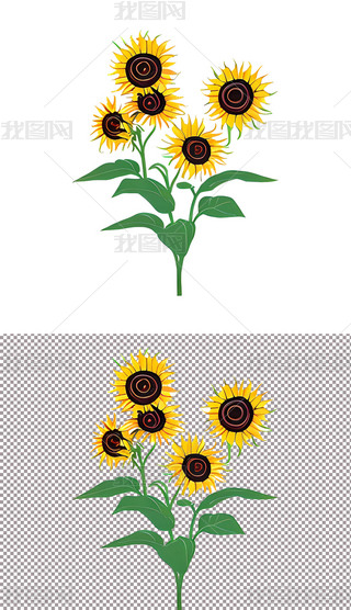 ͨLտ̫ꖻСW(xu)ֳ(bo)Ԫ(2)