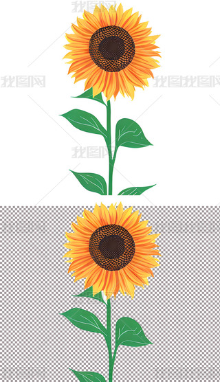 ͨLտ̫ꖻСW(xu)ֳ(bo)Ԫ(5)