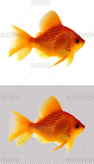 ~^p~ˮﺣ(2)