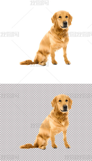ɫСëSɫSël(f)S(4)