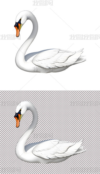 ZZwBBo(2)