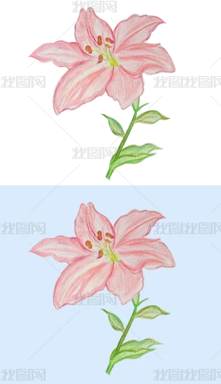 tɫٺϻUP宋L⓸Ԫ