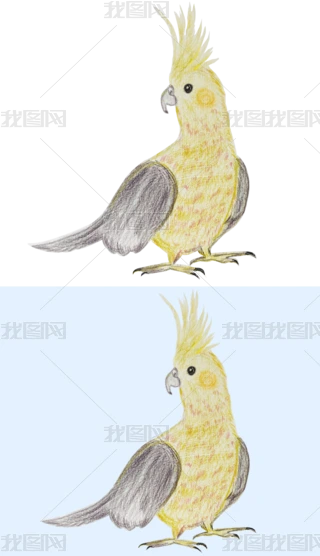 ƤW^˸B宋UPDԪ