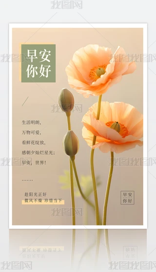 ΨrD簲Z醖պD