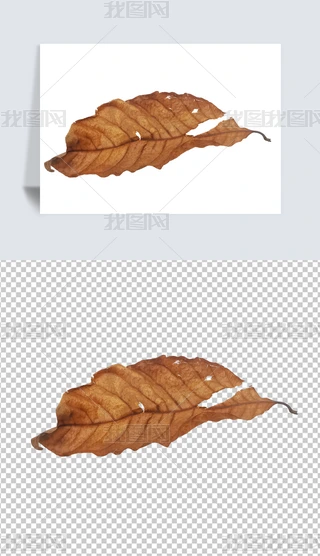 ֲ