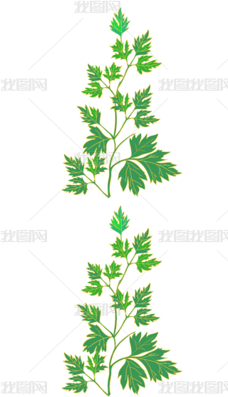 Lݲˎ
