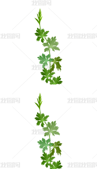 Lݲˎ