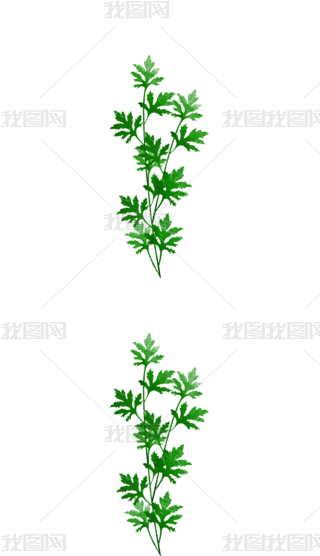 Lݲˎ