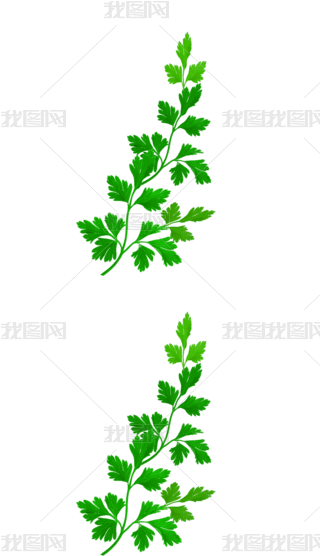 Lݲˎ
