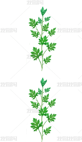 Lݲˎ