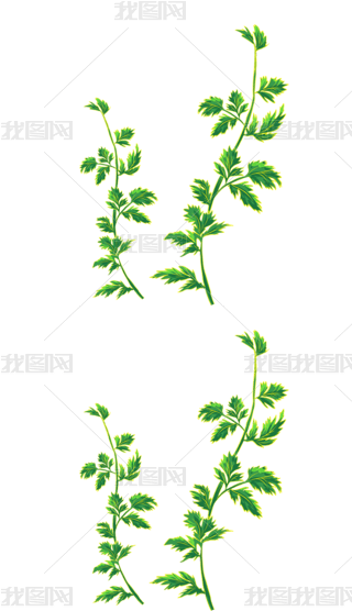 Lݲˎ