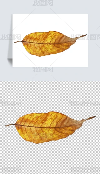 ͸PNG~~Ә~S~ƬɿS