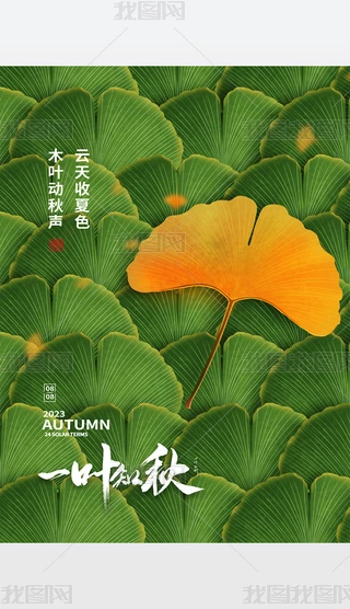 (chung)~(bo)