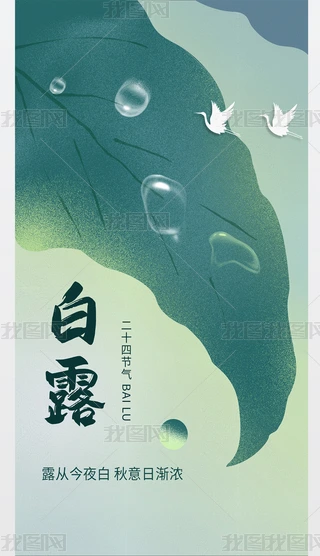 ʮĹ¶