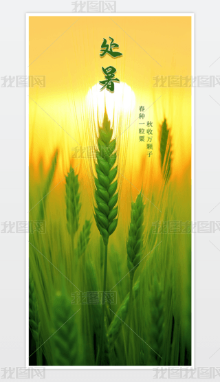 ʮĹ(ji)֮һ̎ɻ