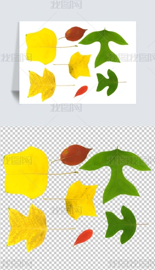 ͸PNG~~Ә~ֲ~ƬZ~}