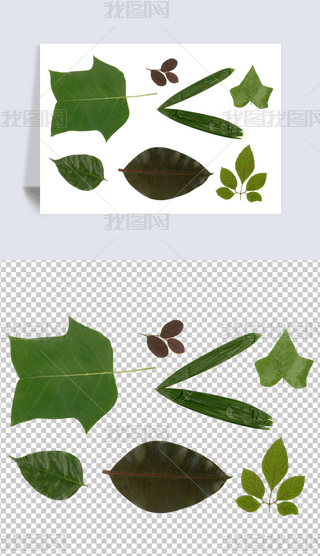 ͸PNG~Ә~ֲ~ƬZ~}S~