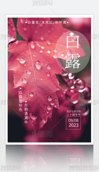¶ʮĹ(ji)⺣(bo)