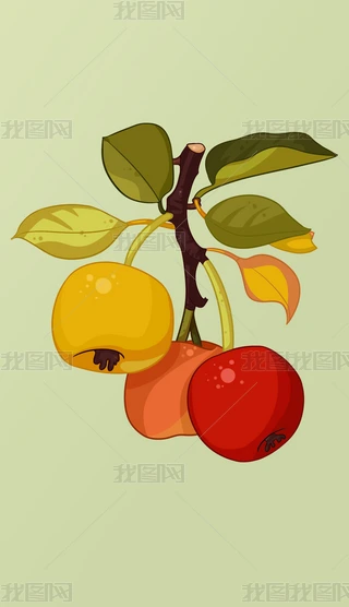 ĹP