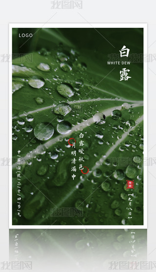 ˮ麣