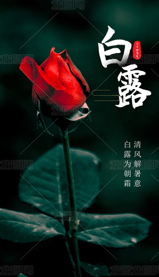 ڼز