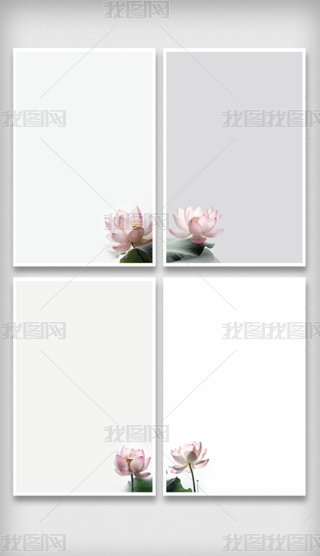 ɻż
