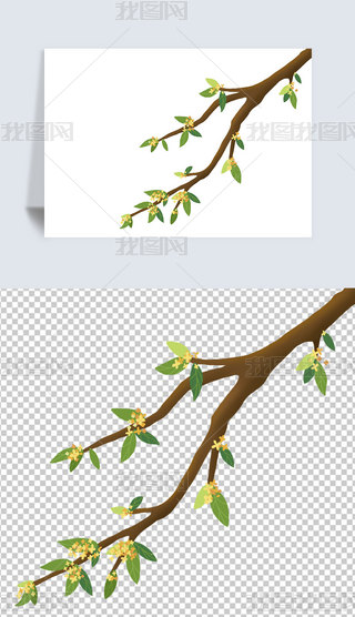 ﹝¹𻨘bز