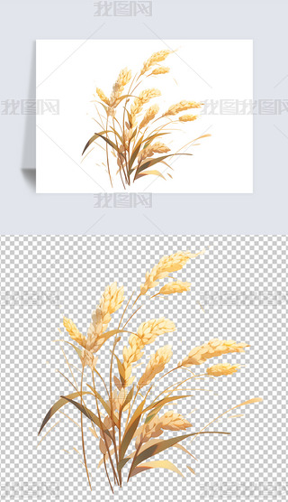 װfr⓸زĲ宋