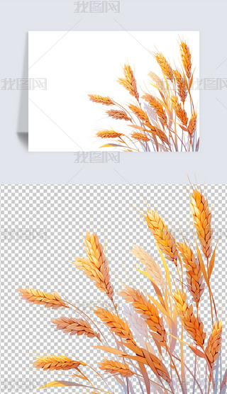 װfr⓸زĲ宋