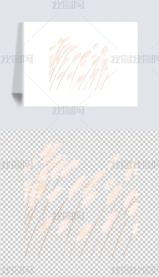 ʮĹ(ji)֮¶¶JȔ