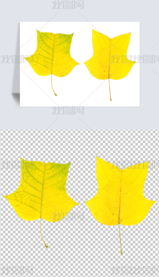 ͸PNG~~Ә~S~ƬZ