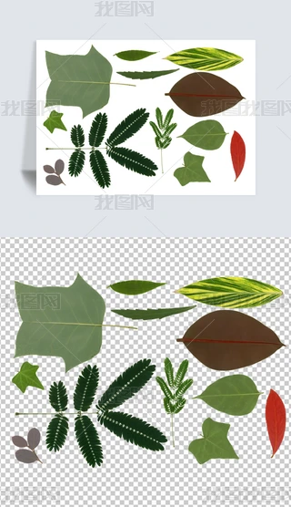 ͸PNG~~Ә~ֲ~ƬZ~}