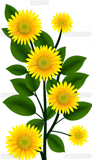 ջ宋r׈DO(sh)Ӌ(j)ز45