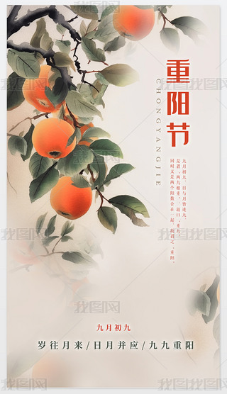 ꖹꖹžꖹϦꖼt˹ꖹNꖼѹꖵǸꖾ