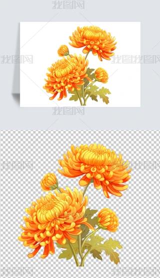 02.png