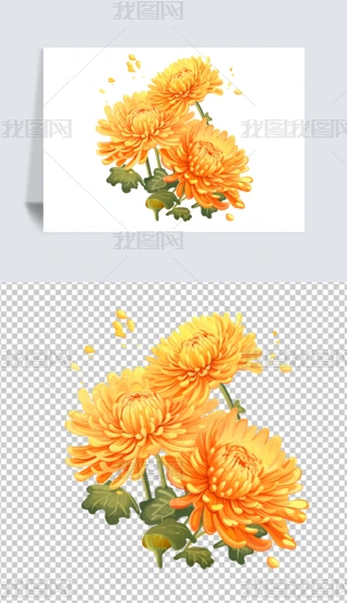 ꖹزľջ⓸زĲ宋