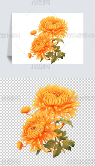 ꖹزľջ⓸زĲ宋