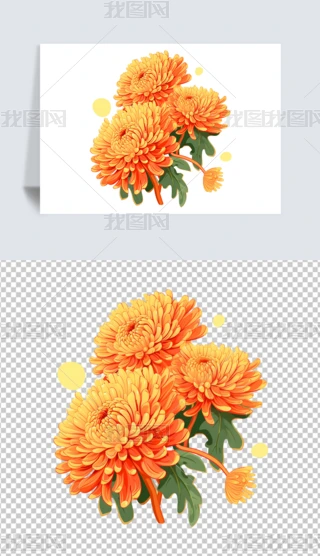 ꖹزľջ⓸زĲ宋