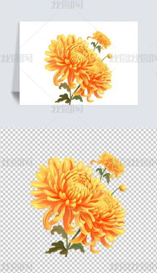 ꖹزľջ⓸زĲ宋