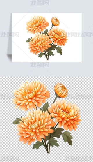 ꖹزľջ⓸زĲ宋